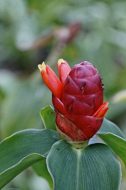 Famille & Amis-DEC10-049